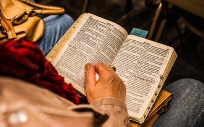 biblia-1024x683